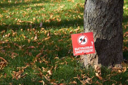 Green lawn with fallen maple leaves and sign with the inscription in Ukrainian: dog walking is prohibitedの写真素材