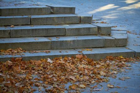 Marble steps covered with an orange fallen leaves, selective focusの写真素材