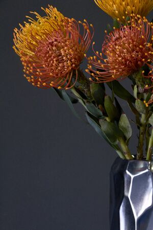 Bouquet of yellow and orange exotic protea flowers in metal vase on a dark background, selective focusの写真素材