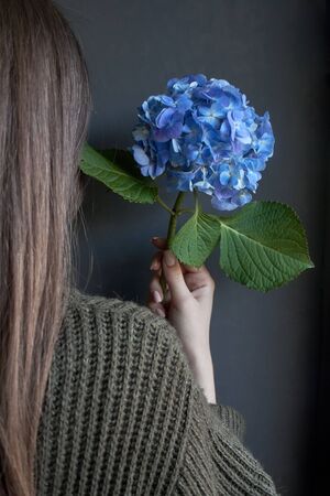 Rear view of woman who holds a large blue hydrangea flower against a dark wallの写真素材