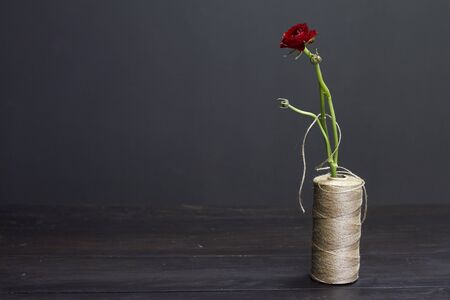 Single red ranunculus in vase from a coil of coarse threads on a dark background, selective focus