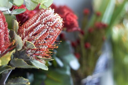 Close up flower shop window with exotic flowers, selective focus