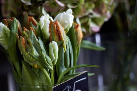 Close up flower shop window with exotic flowers, selective focusの写真素材