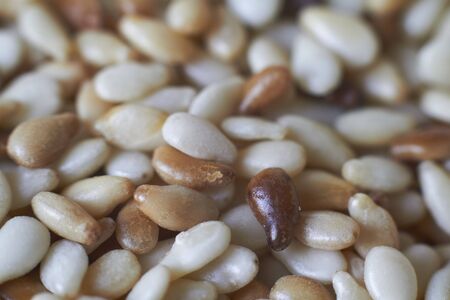 Extremely closeup food background sesame seeds of varying degrees of roasting, selective focus