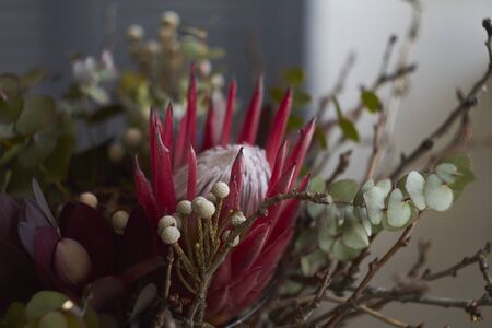 Modern exotic bouquet without packaging, ecological floristry concept, selective focusの写真素材