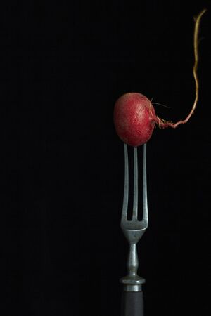 Vintage fork with fresh radish on black backdrop, selective focusの写真素材