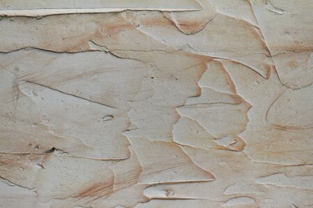 Texture of beige. Textured backdrop. Decorative plaster walls, external decoration of facade.の写真素材