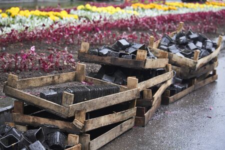 Lot of used plastic pots from seedlings of flowers near blooming flower bed in public park, selective focusの写真素材
