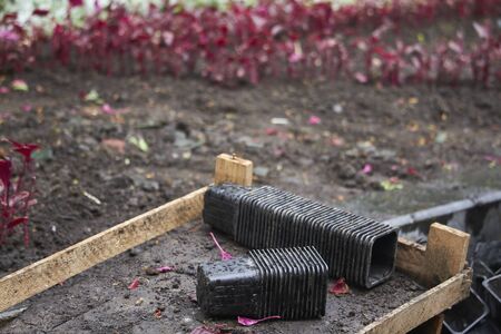 Lot of used plastic pots from seedlings of flowers near blooming flower bed in public park, selective focusの写真素材