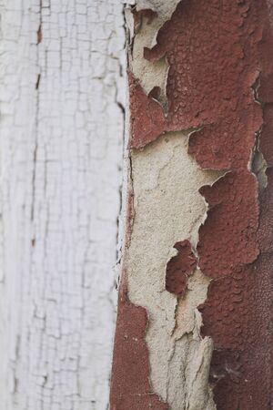 Old flaky cracked paint on grey wall, old paint background, selective focusの写真素材