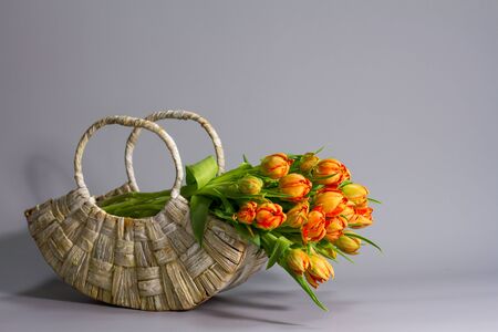 Straw basket with bouquet of fresh orange tulips on gray backdrop, greeting or gift conceptの写真素材