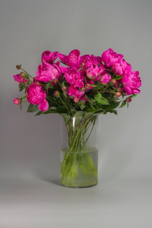 Bouquet of pink peonies in glass vase on grey background, greeting card conceptの写真素材