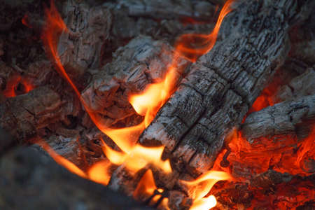 Wood log burning in the chimenea. Fire wood, coal and amber ash closeup. Red tongues of flame and glowing amber. Concept of home and warmth.の写真素材
