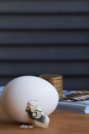 Five dollar bill hatching from egg and a stack of hundred dollar bills and coins on natural...