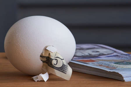 Five dollar bill hatching from egg and a stack of hundred dollar bills on natural background, selective focusの写真素材