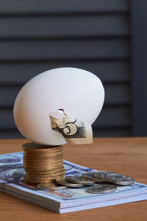 Five dollar bill hatching from egg and a stack of hundred dollar bills and coins on natural background, selective focusの写真素材