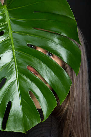 Beautiful brunette girl with long hair looks through monstera leaf on black backdrop, selective focusの写真素材