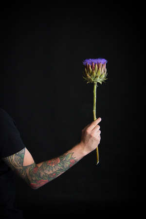 Male tattooed hand holding purple artichoke flower on black background, greeting card or conceptの写真素材