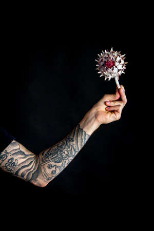 Male hand with dry artichoke flower on black backdrop, greeting card or conceptの写真素材