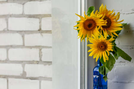 Bouquet of blooming sunflowers in blue glass vase on windowsill, selective focusの写真素材