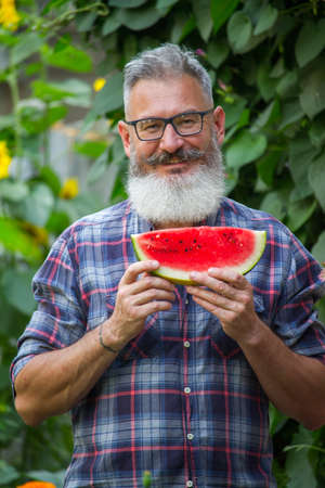 Portrait of mature bearded male farmer with red ripe watermelon, own harvest concept, selective focusの写真素材
