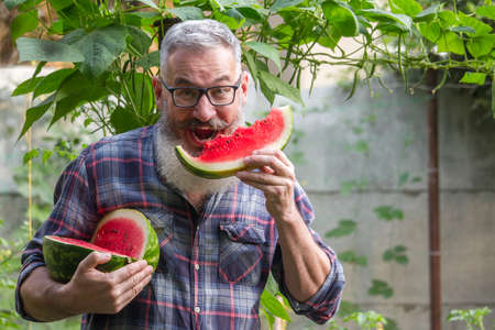 Portrait of mature bearded male farmer with red ripe watermelon, own harvest concept, selective focusの写真素材
