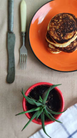 Plate with stack of homemade pancakes and cactus in red pot, selective focusの写真素材