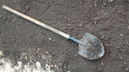 Old dirty shovel lying on soil in vegetable garden, green farming concept, selective focusの写真素材