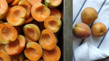 Lot of orange sweet apricots in baking sheet on striped kitchen towel, selective focusの写真素材