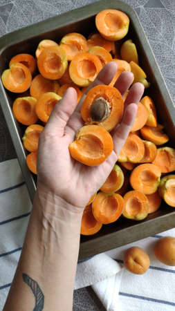 Lot of orange sweet apricots in baking sheet and female hand, selective focusの写真素材