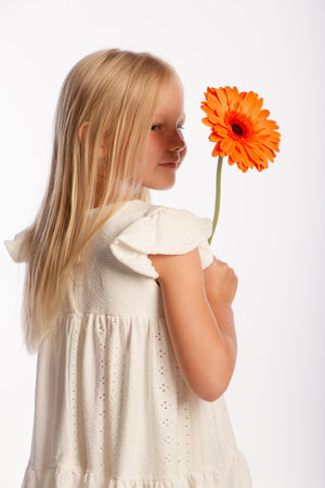 Studio portrait of cute blonde girl in white dress with single gerbera flower, white background, selective focusの写真素材