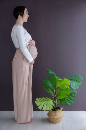 Studio portrait of elegant young adult pregnant woman in white beige dress with green tropical plant, happy pregnancy conceptの写真素材