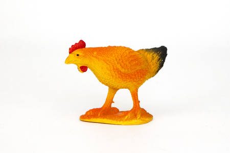 toy chicken isolated on a white backgroundの写真素材