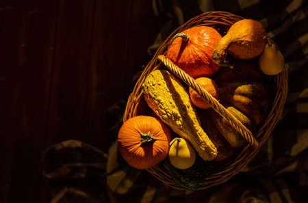Beautiful pumpkins for Thanksgiving in a basket. The suns rays illuminate the vegetables.の写真素材