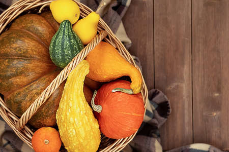 Harvest autumn vegetables in a basket on a wooden background. Top view, copy space for your design.の写真素材