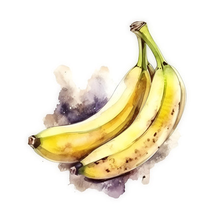 Hand drawn watercolor fruits isolated on white background of bunch of bananas, watercolor. sketch imageの素材