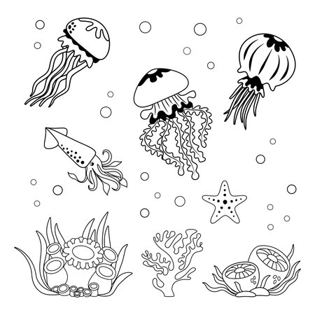 Marine set, anemone, squid, jellyfish and corrals in simple linear style. Black and white graphics for books and postersのイラスト素材
