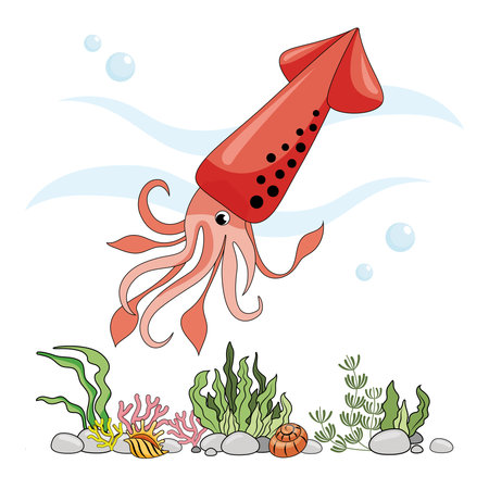 Figure squid. Insulated squid on a white background, sea bottom. Color illustration in the style of cartoon. Seafloor with algae, shells and coralsのイラスト素材