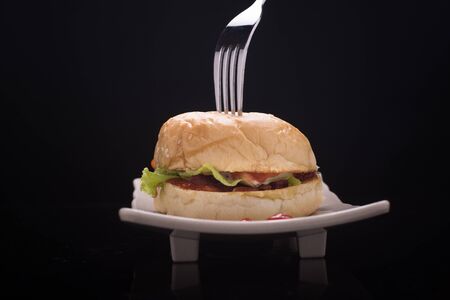 Delicious Burger on Plate isolate