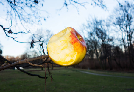 Heavenの写真素材