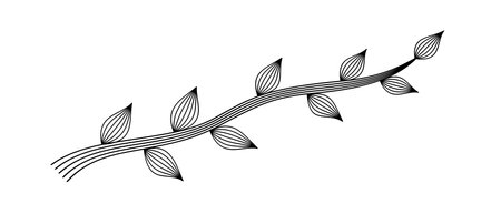 line art branch on white backgroundのイラスト素材