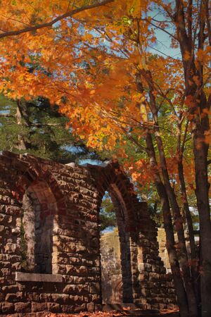 A view of the Mackenzie King Estate ruins in autumn settingの写真素材