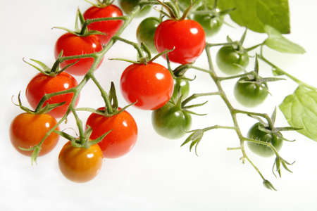 Background of red and green vine cherry tomatoesの写真素材