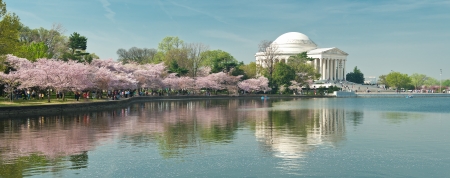 Cherry Blossom Festival at the National Mall  Washington, DC のeditorial素材