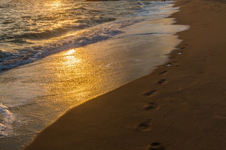 Footprints in the Sand reflective  at sunset time for backgroundの写真素材
