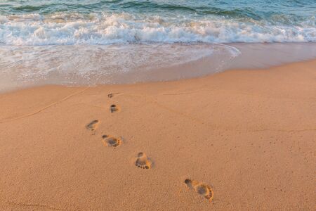 Footprints in the Sand for backgroundの写真素材