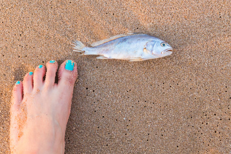 Woman's foot in the sand with dead fish for backgroundの写真素材