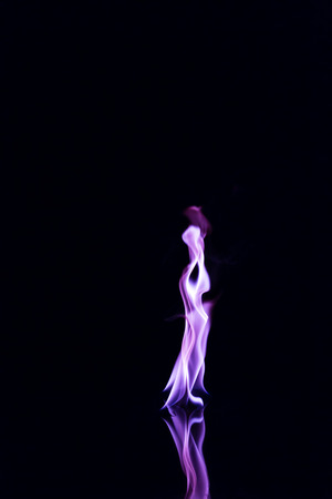 Purple flames on a black background.の写真素材