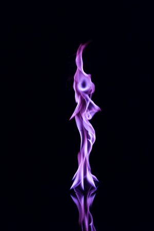 Purple flames on a black background.の写真素材