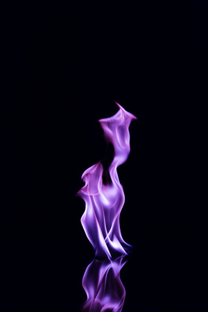 Purple flames on a black background.の写真素材